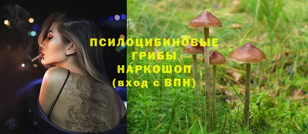 COCAINE Краснотурьинск